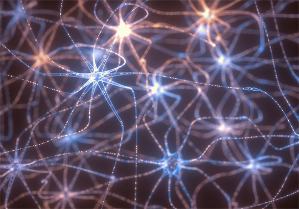 Biodecodificacion-CLAM