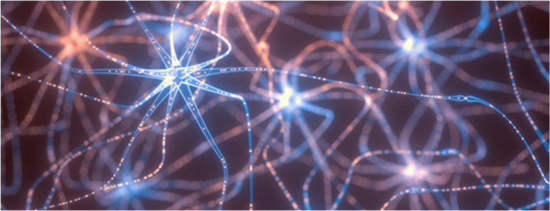 Terapia de Biodescodificación